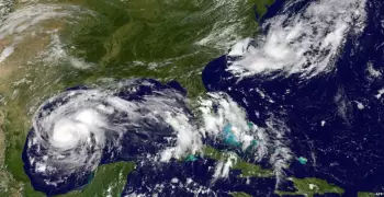 صورة| إعصار «هارفي» يجلب حيوانا مرعبا حيَّر العلماء